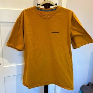 Patagonia Mens T-Shirt